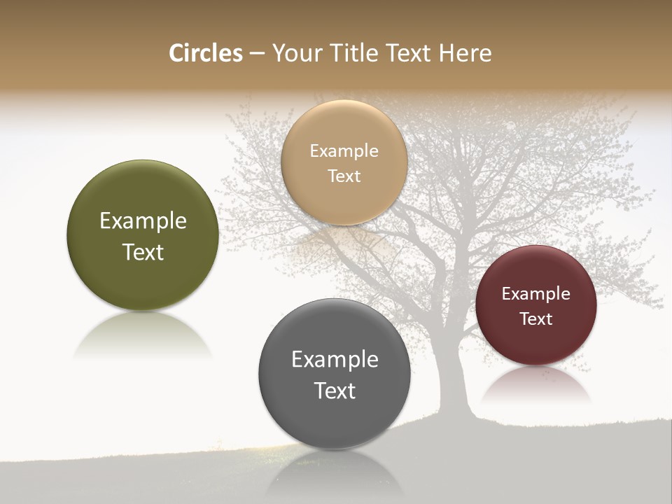 Street Black Lifestyles PowerPoint Template