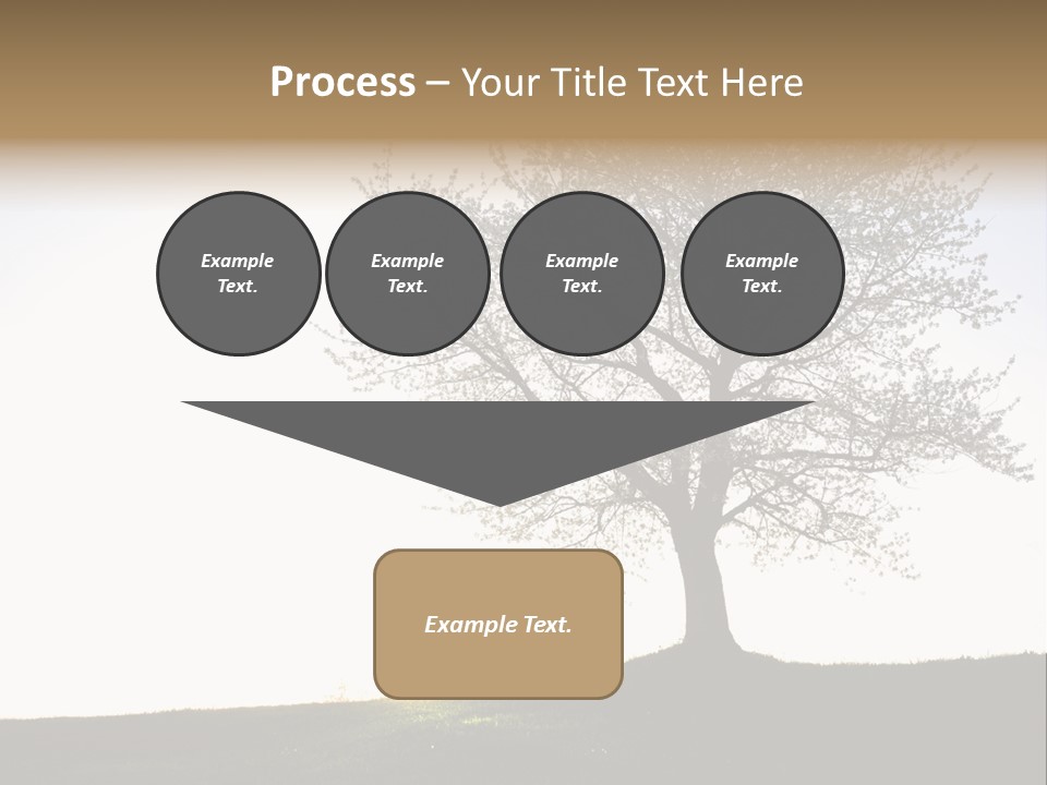 Street Black Lifestyles PowerPoint Template