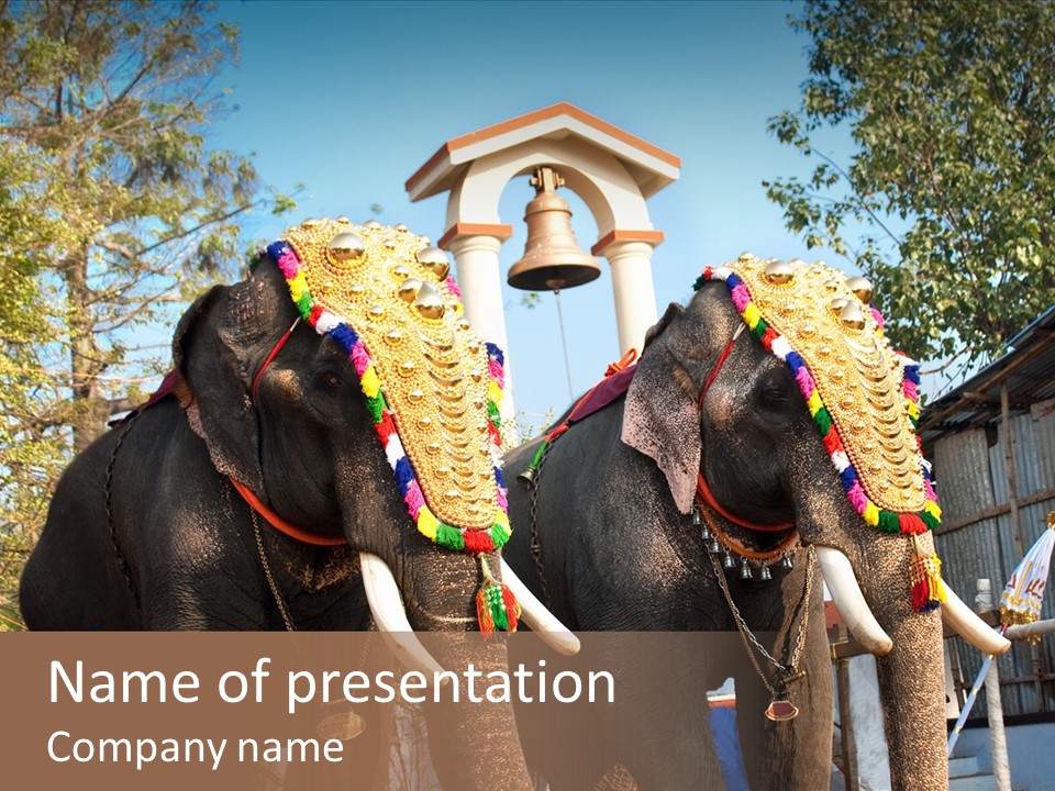 Trunk Kerala Festival PowerPoint Template