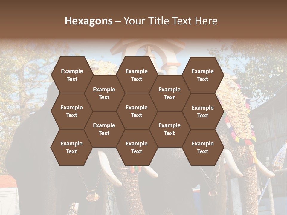 Trunk Kerala Festival PowerPoint Template