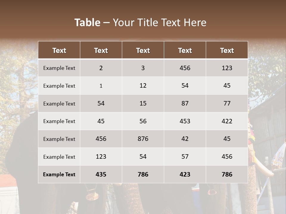 Trunk Kerala Festival PowerPoint Template