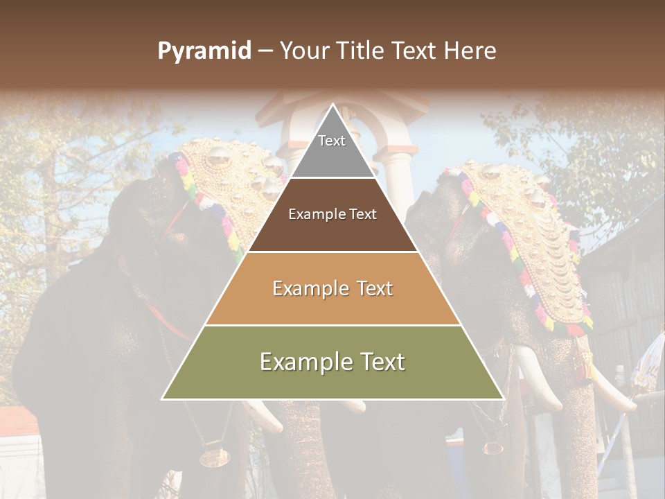 Trunk Kerala Festival PowerPoint Template