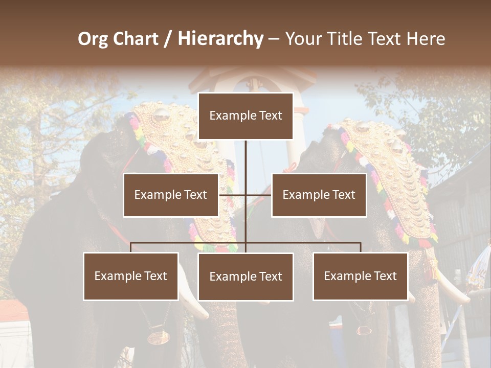 Trunk Kerala Festival PowerPoint Template