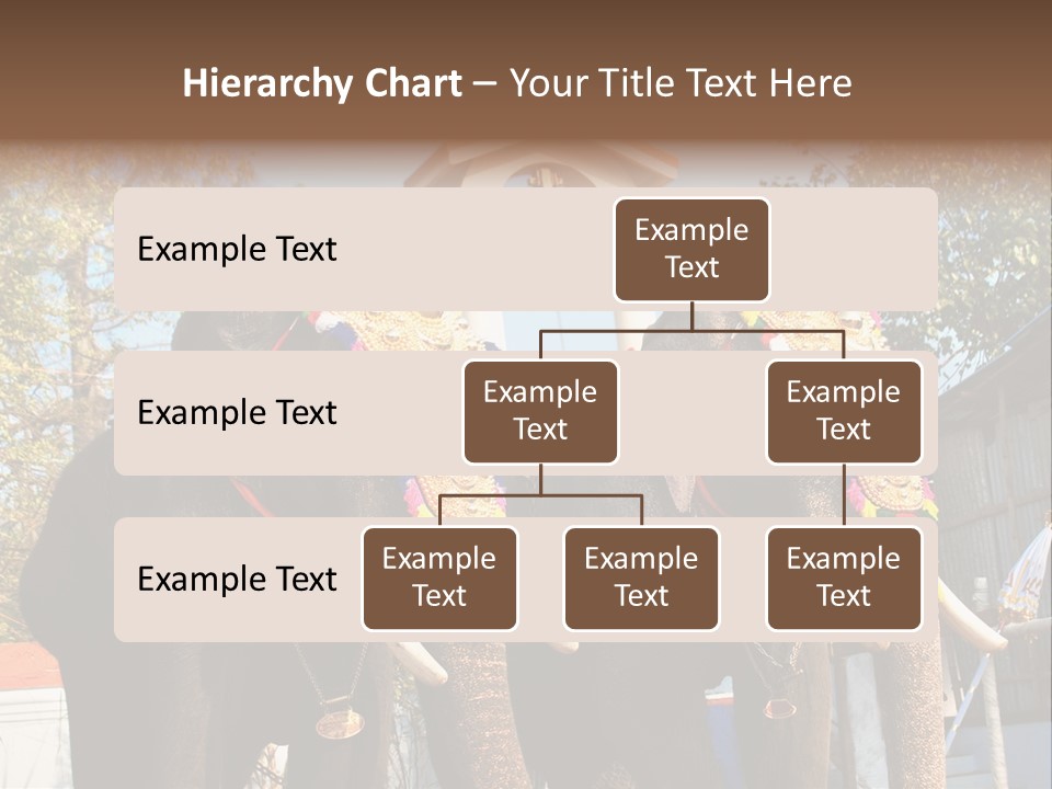 Trunk Kerala Festival PowerPoint Template