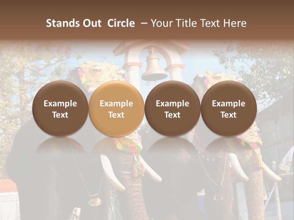 Trunk Kerala Festival PowerPoint Template