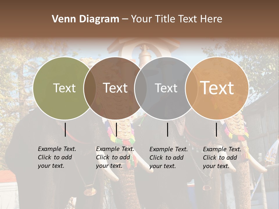 Trunk Kerala Festival PowerPoint Template