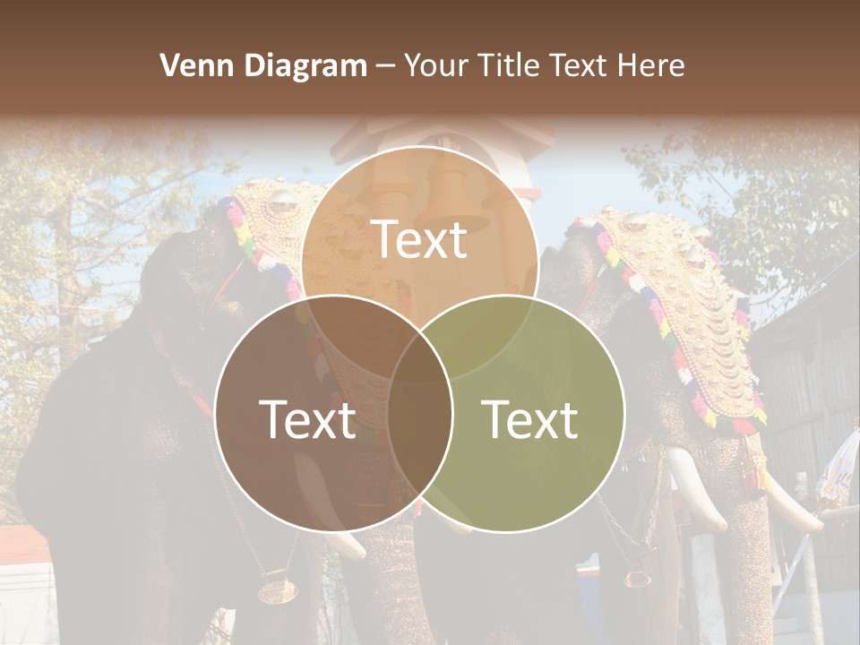 Trunk Kerala Festival PowerPoint Template