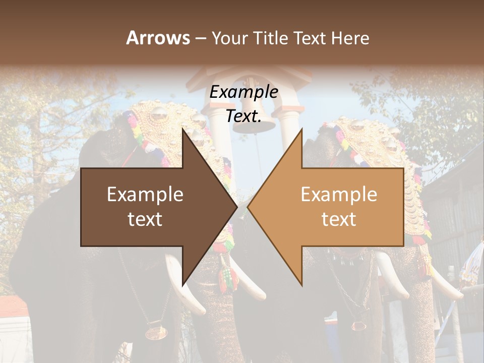 Trunk Kerala Festival PowerPoint Template