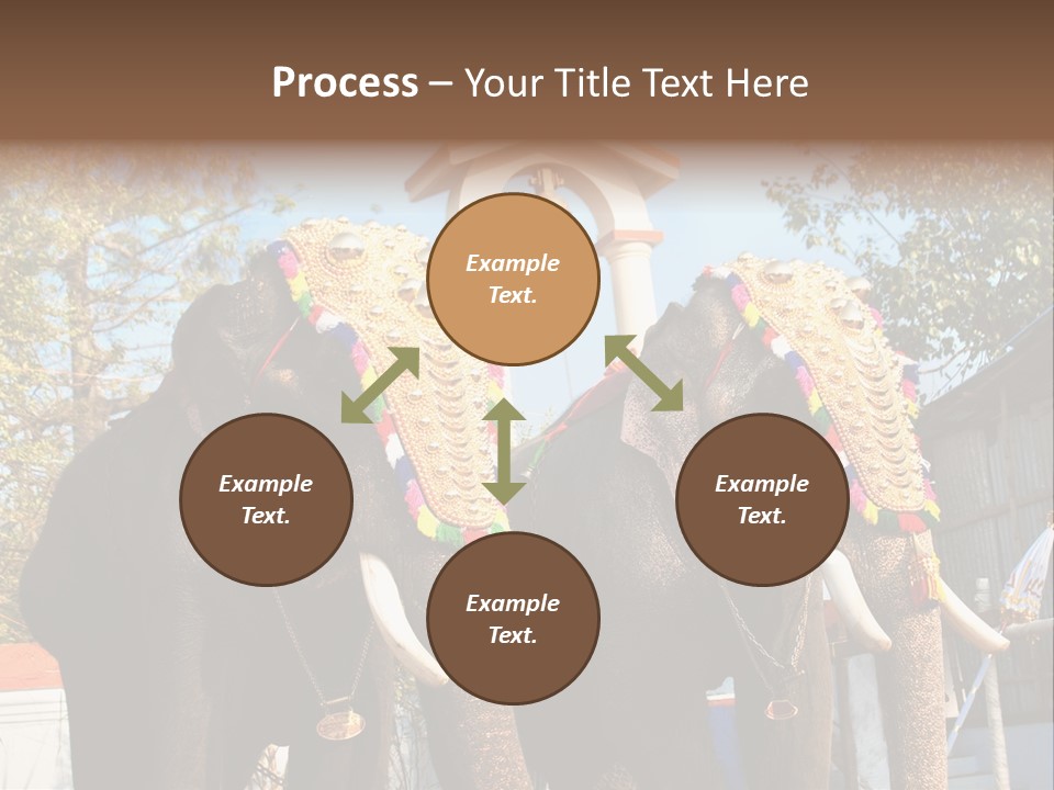 Trunk Kerala Festival PowerPoint Template