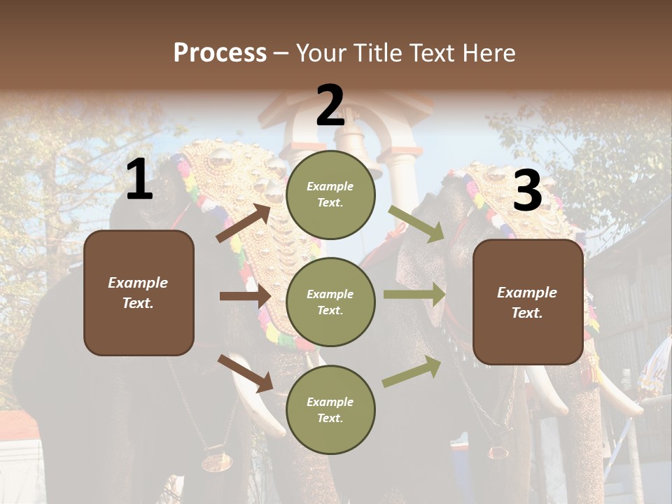 Trunk Kerala Festival PowerPoint Template