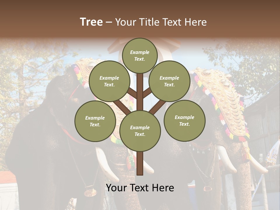 Trunk Kerala Festival PowerPoint Template
