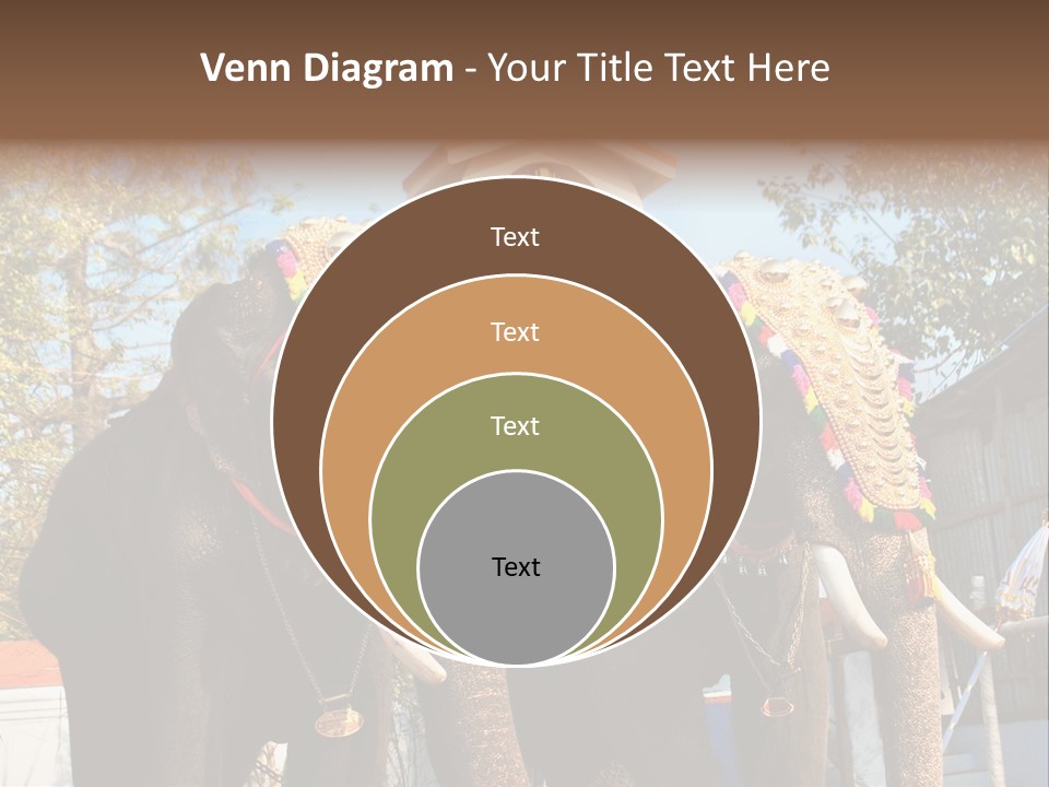 Trunk Kerala Festival PowerPoint Template