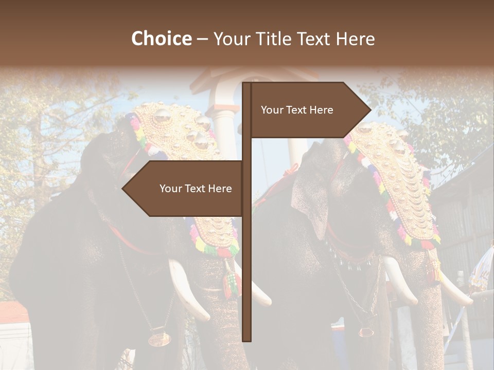 Trunk Kerala Festival PowerPoint Template