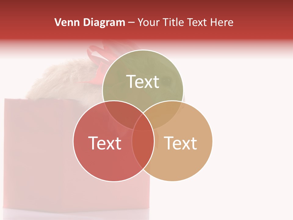 Occasion Head Year PowerPoint Template