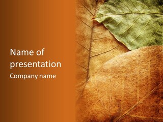 Natural Brown Color PowerPoint Template