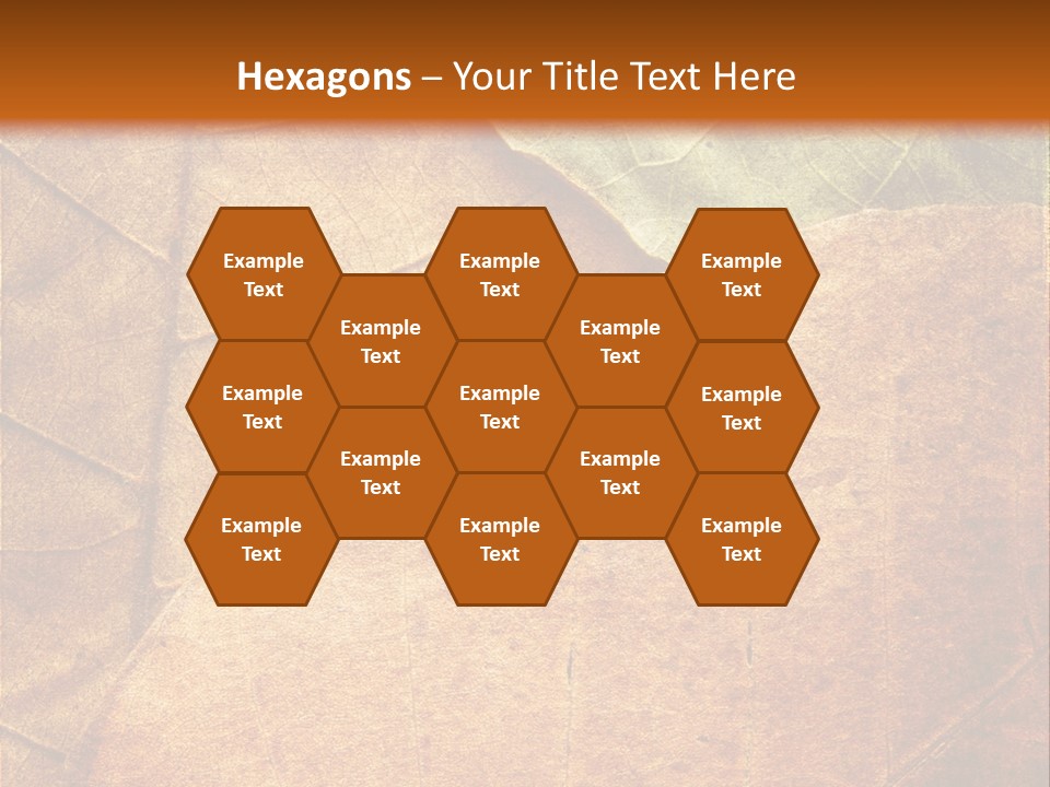 Natural Brown Color PowerPoint Template