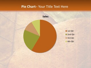 Natural Brown Color PowerPoint Template