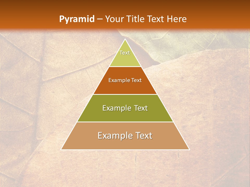 Natural Brown Color PowerPoint Template