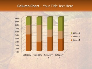 Natural Brown Color PowerPoint Template