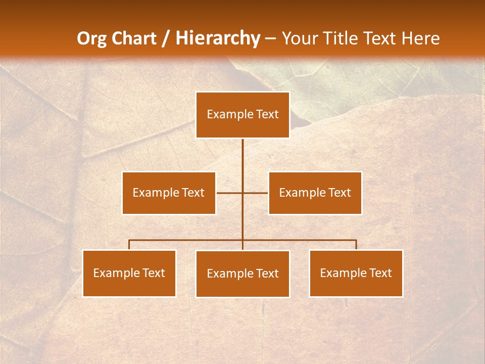 Natural Brown Color PowerPoint Template