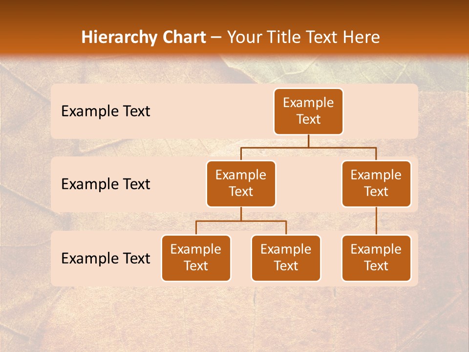 Natural Brown Color PowerPoint Template