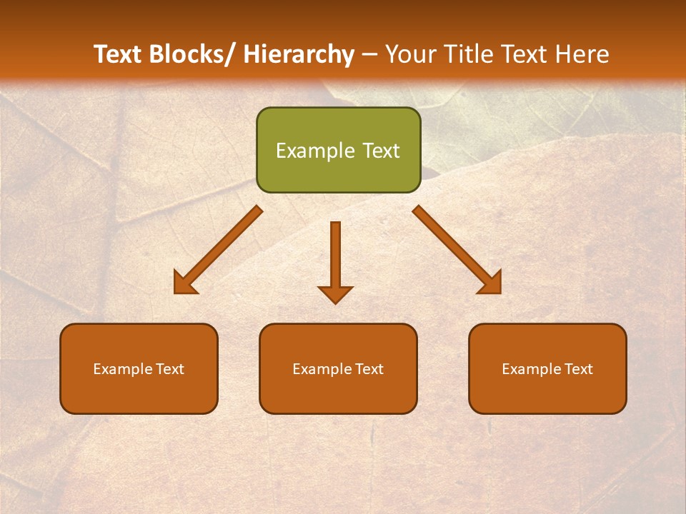 Natural Brown Color PowerPoint Template