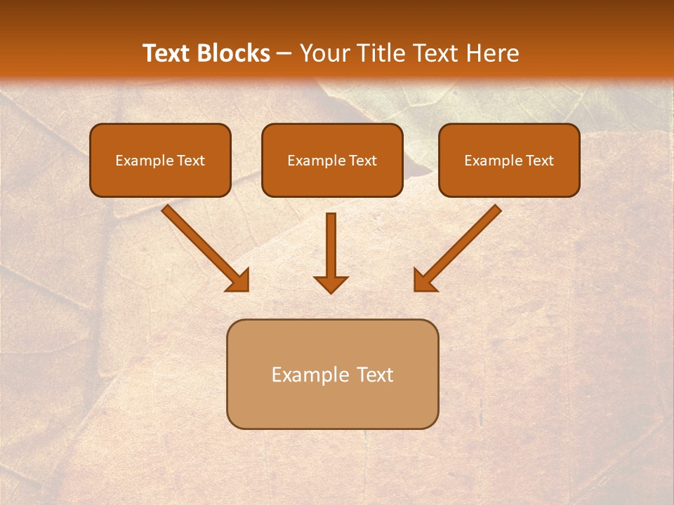 Natural Brown Color PowerPoint Template