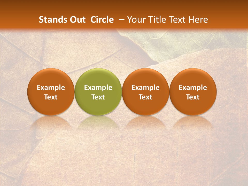 Natural Brown Color PowerPoint Template