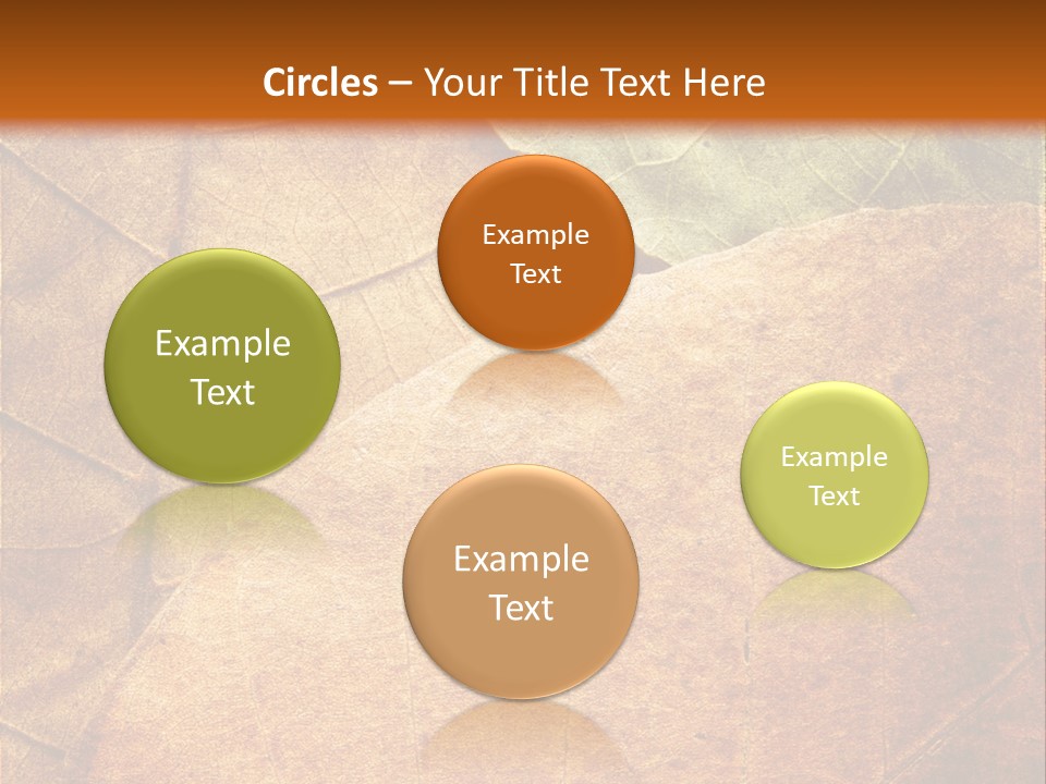Natural Brown Color PowerPoint Template