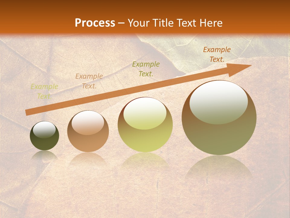 Natural Brown Color PowerPoint Template