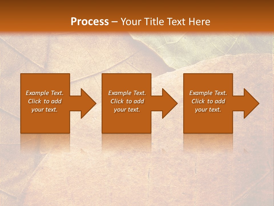 Natural Brown Color PowerPoint Template
