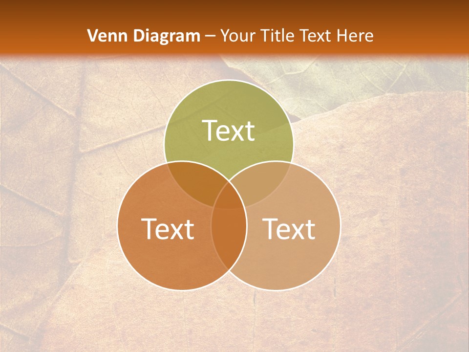 Natural Brown Color PowerPoint Template