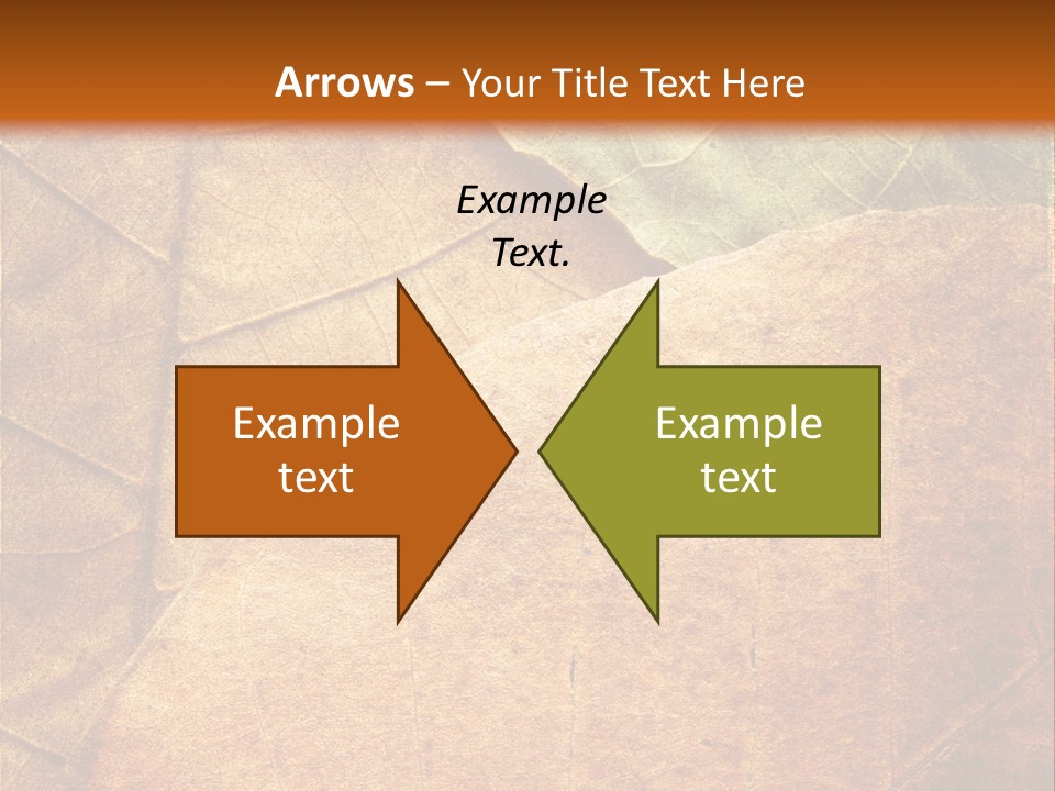Natural Brown Color PowerPoint Template