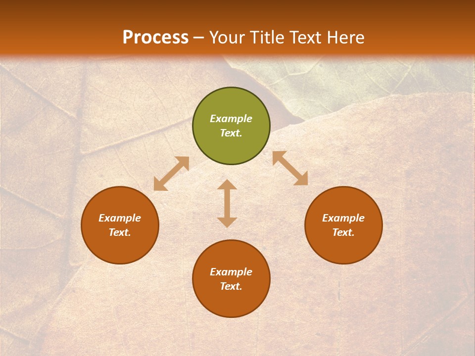 Natural Brown Color PowerPoint Template