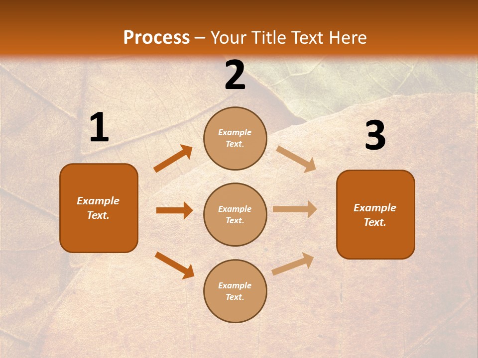 Natural Brown Color PowerPoint Template