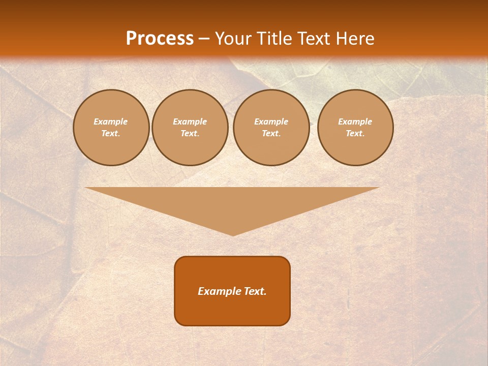 Natural Brown Color PowerPoint Template