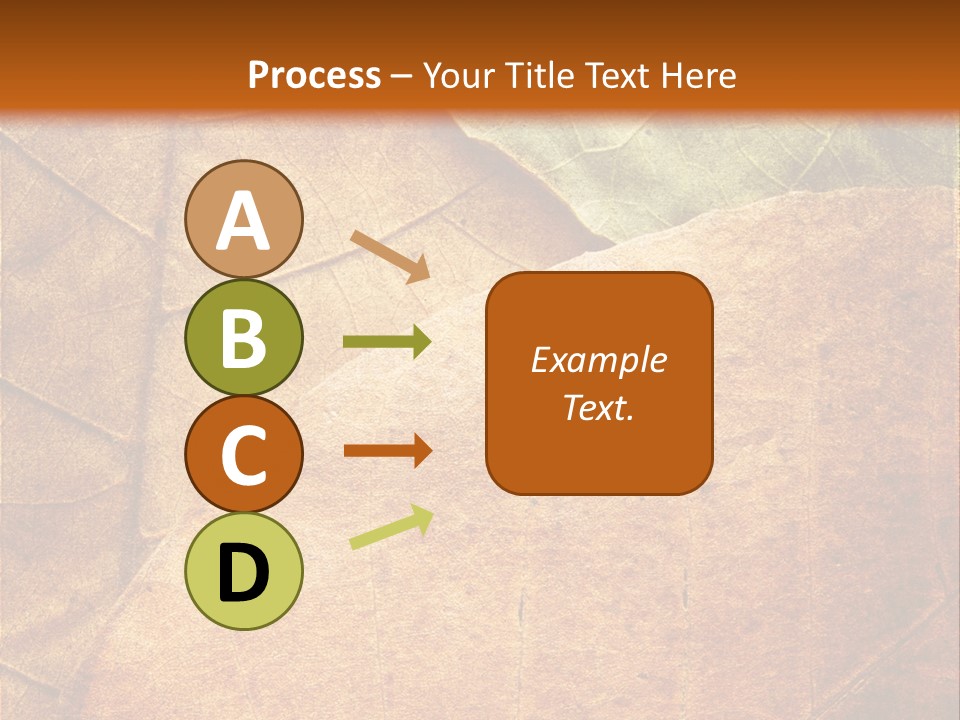 Natural Brown Color PowerPoint Template
