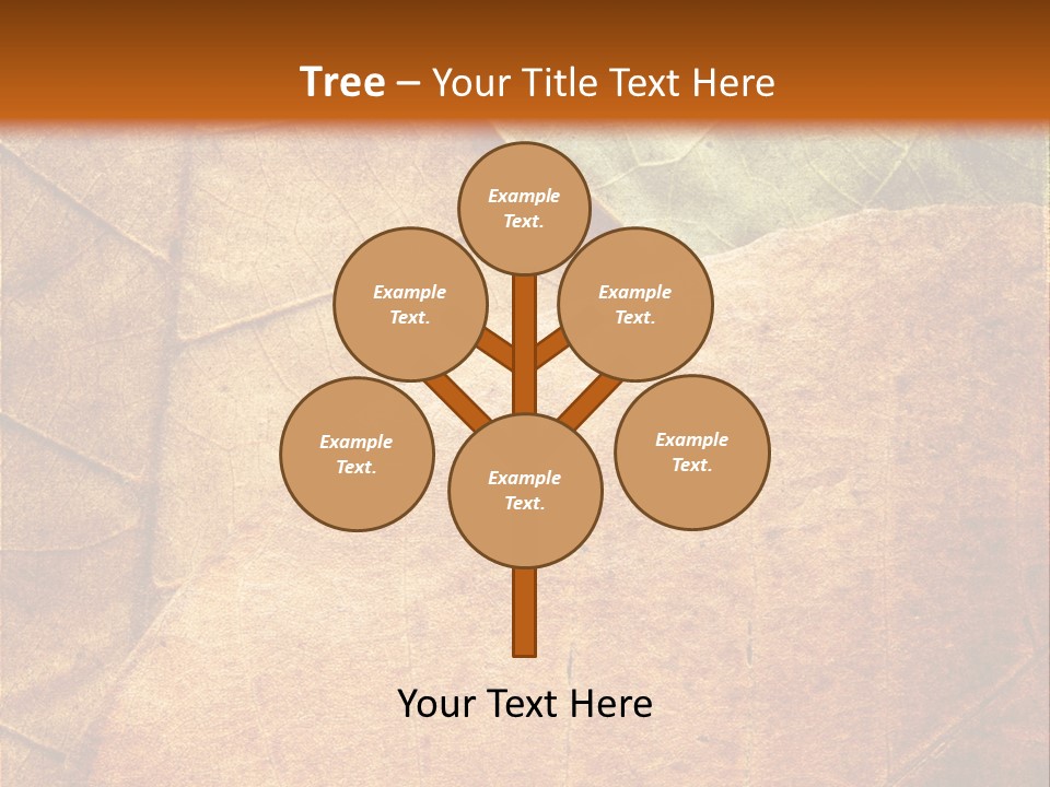 Natural Brown Color PowerPoint Template
