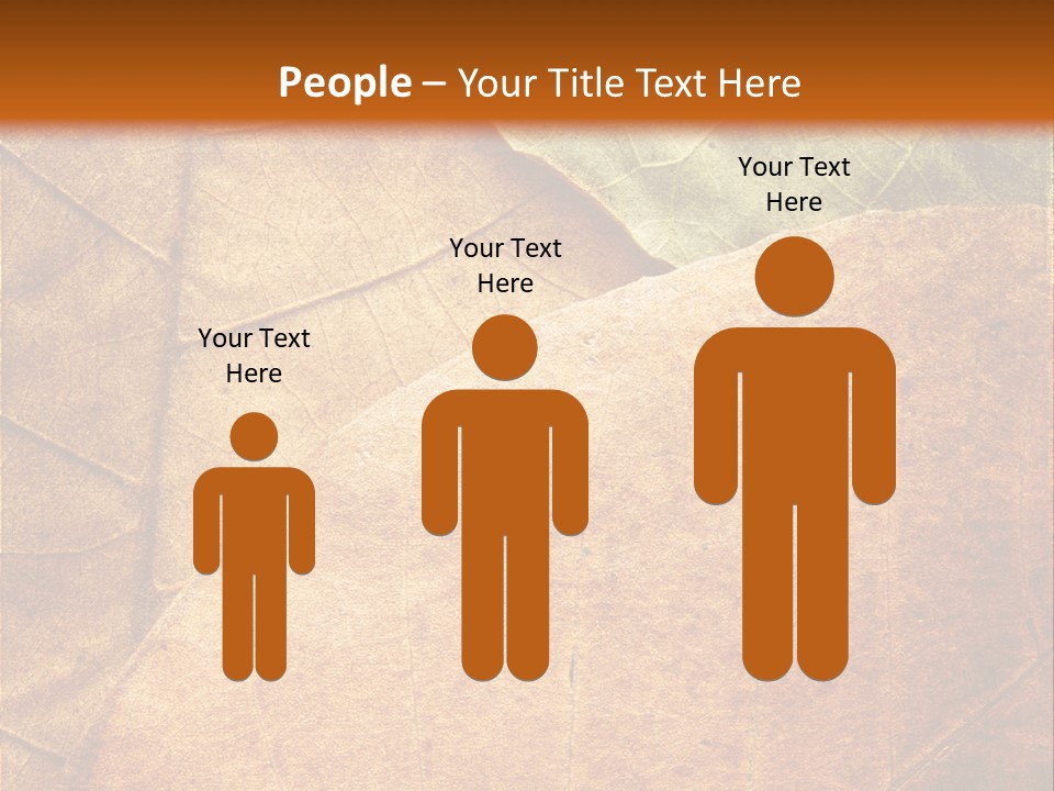 Natural Brown Color PowerPoint Template