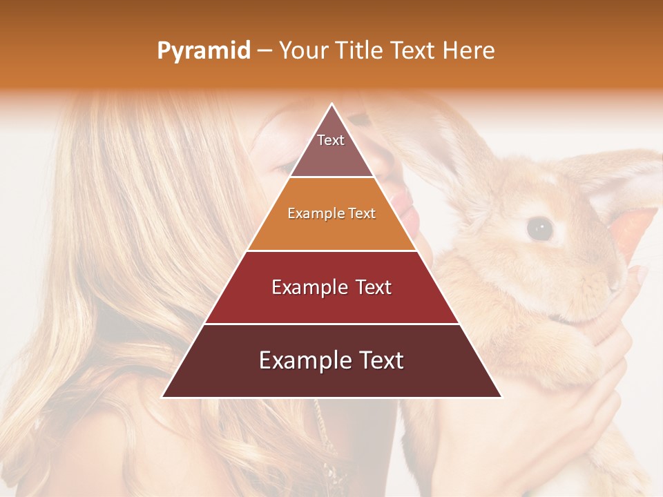 Face Bunny Studio PowerPoint Template