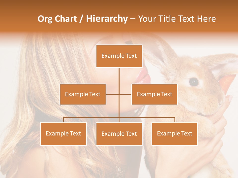 Face Bunny Studio PowerPoint Template