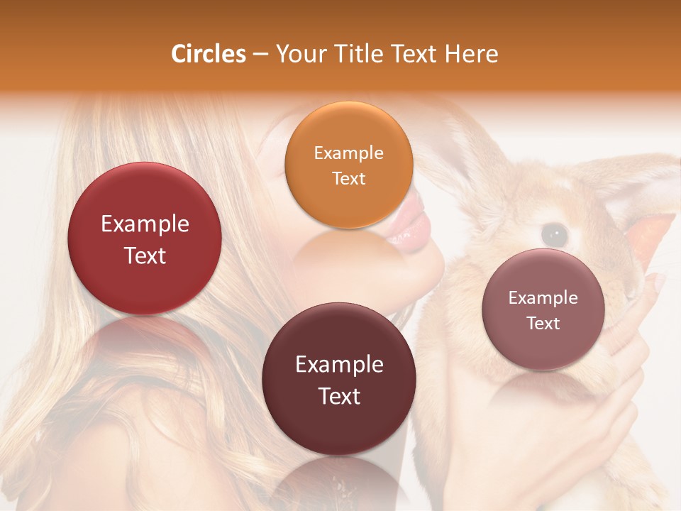 Face Bunny Studio PowerPoint Template