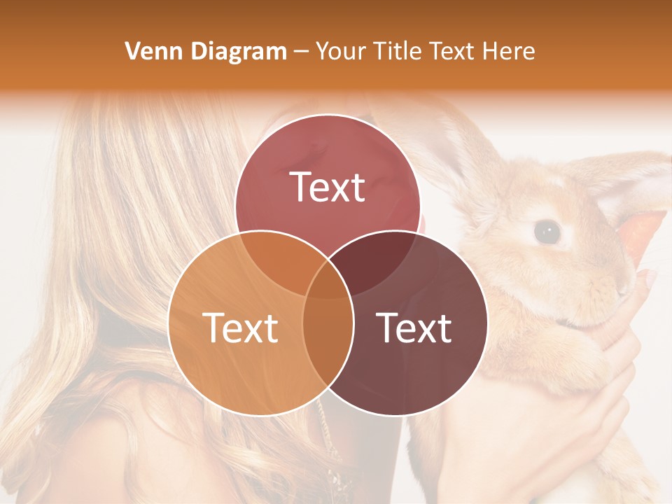 Face Bunny Studio PowerPoint Template