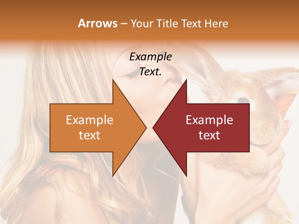 Face Bunny Studio PowerPoint Template