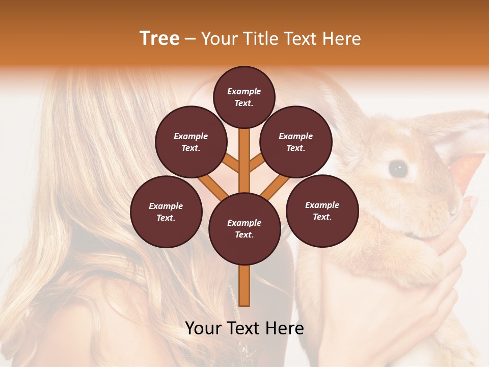 Face Bunny Studio PowerPoint Template