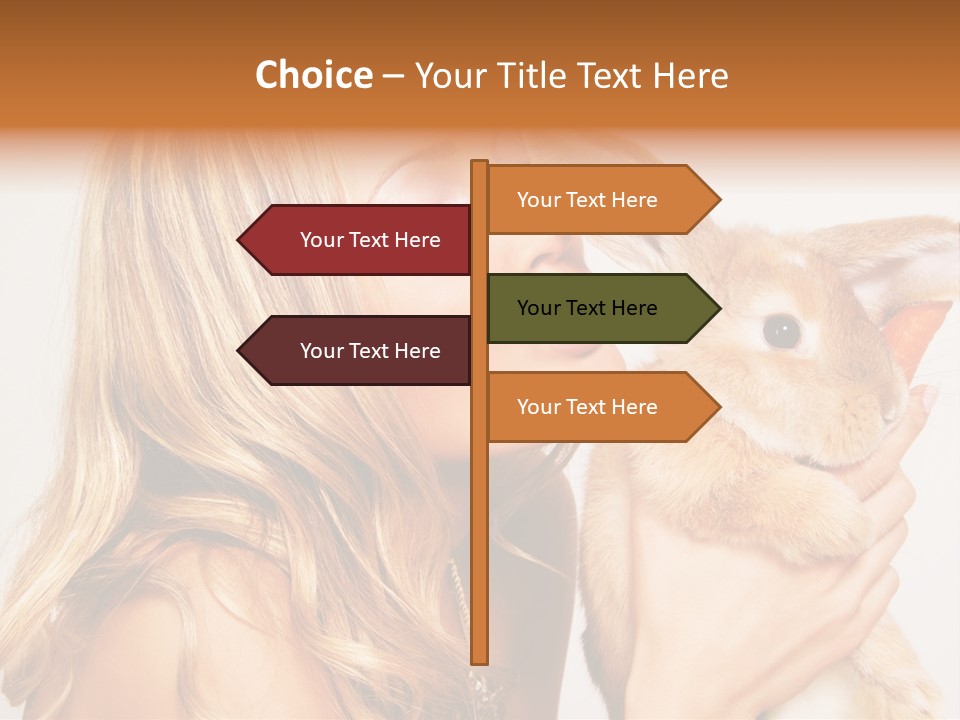 Face Bunny Studio PowerPoint Template