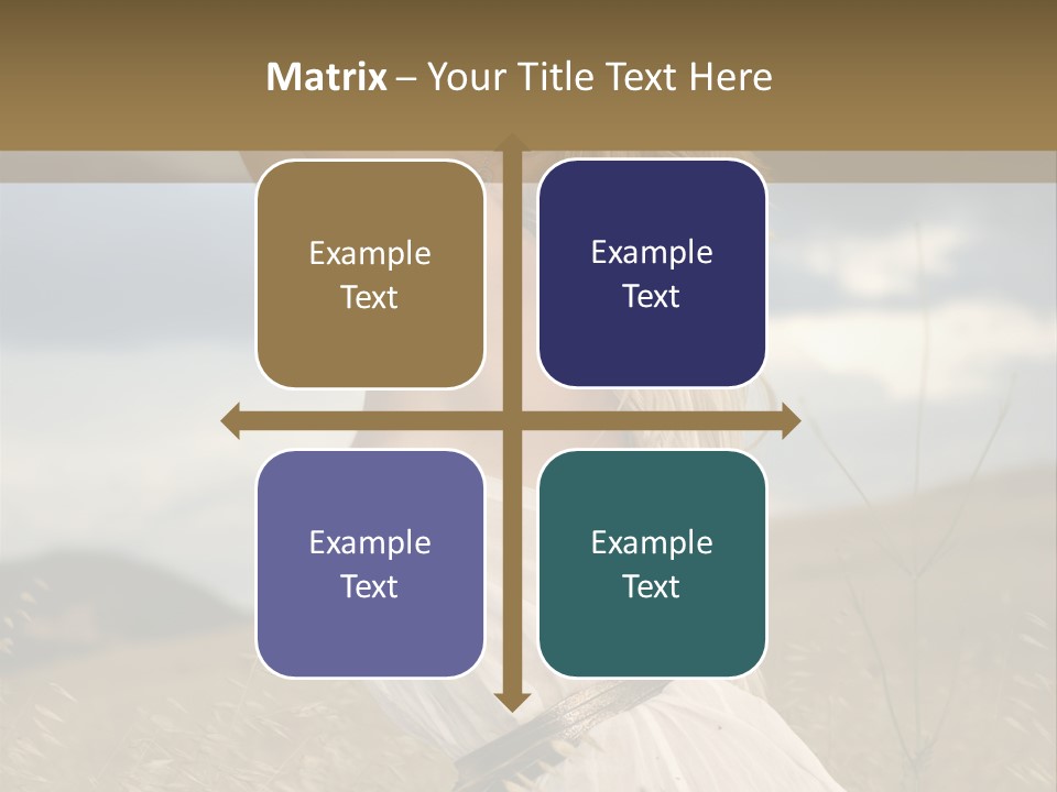 Di Cu Ion Happy Humor PowerPoint Template