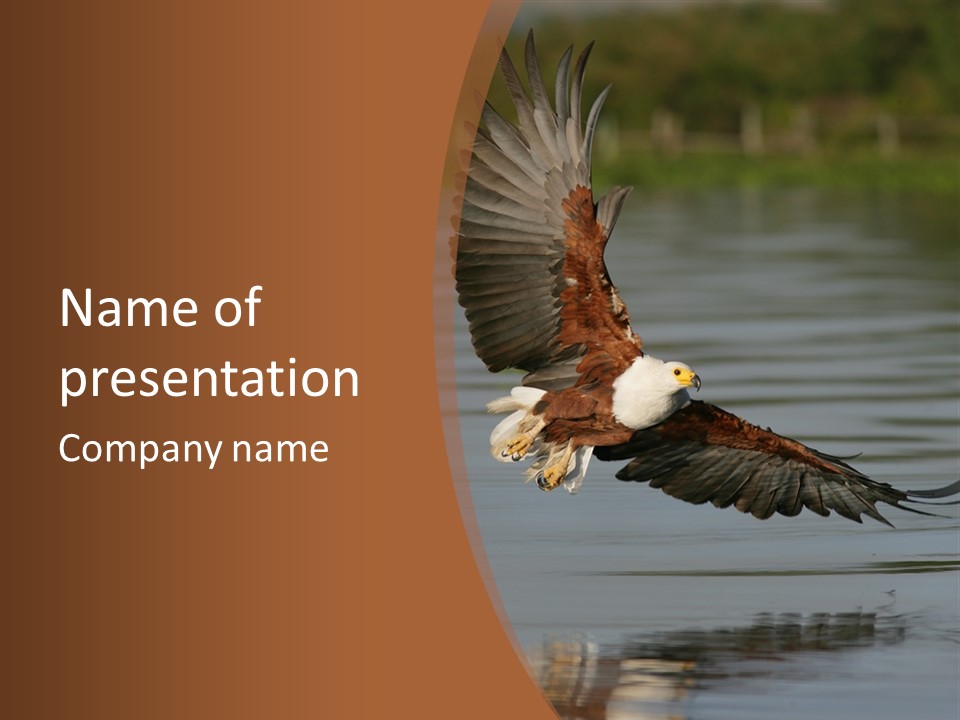 Brown Eagle Beak PowerPoint Template
