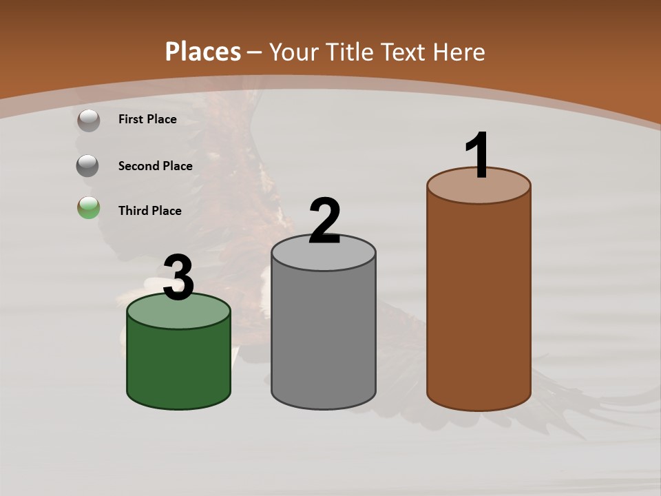 Brown Eagle Beak PowerPoint Template