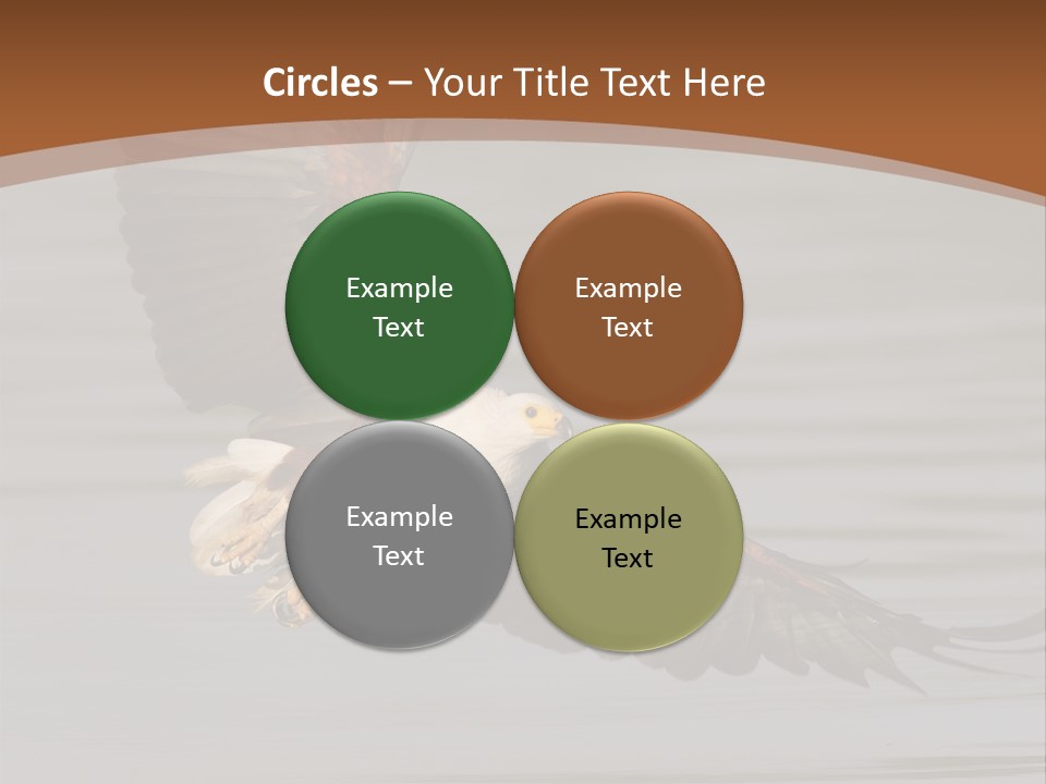 Brown Eagle Beak PowerPoint Template